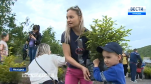 Зеленая зона из корейских елей появилась в Находке в День защиты детей. Видеорепортаж Андрея Мозгового